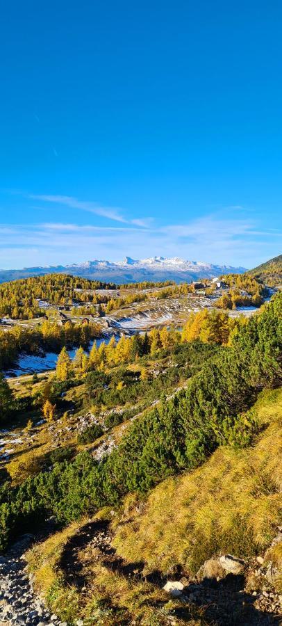 Ferienwohnungen Bergpanorama 바트 미테른도르프 외부 사진